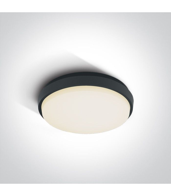 25W LED Lubinis šviestuvas Anthracite IP54 67362/AN/W