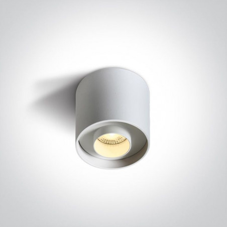 8W LED Lubinis šviestuvas White 12108D/W/W